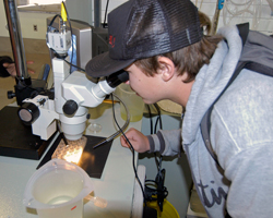Sea Search Marine Biology Workshops